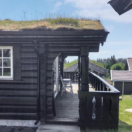 Sjusjoen Setergrend 4730 Villa Kültér fotó