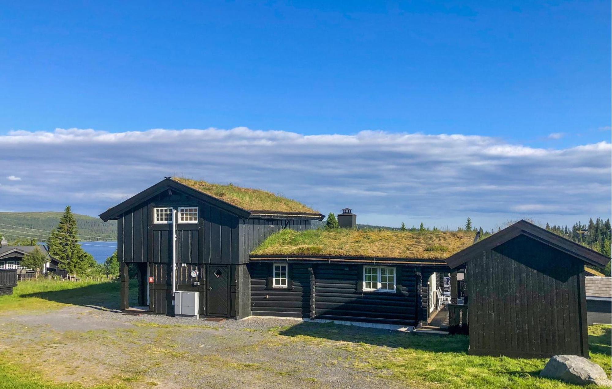 Sjusjoen Setergrend 4730 Villa Kültér fotó